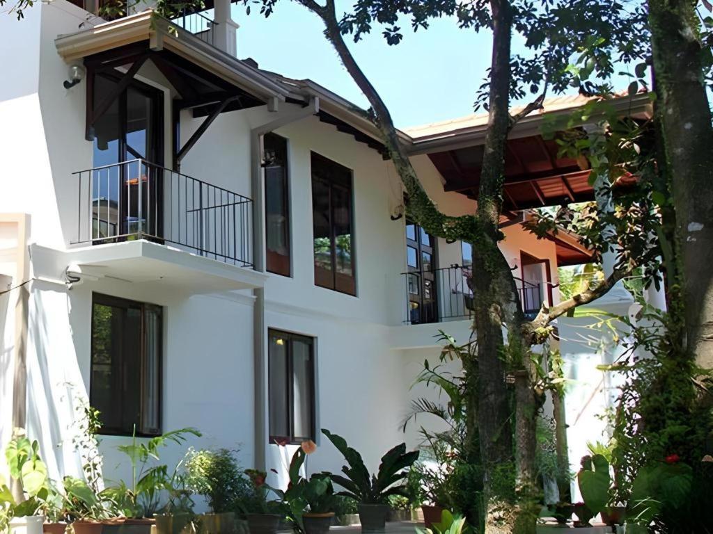The Mgs Hotel Elpitiya  Exteriér fotografie