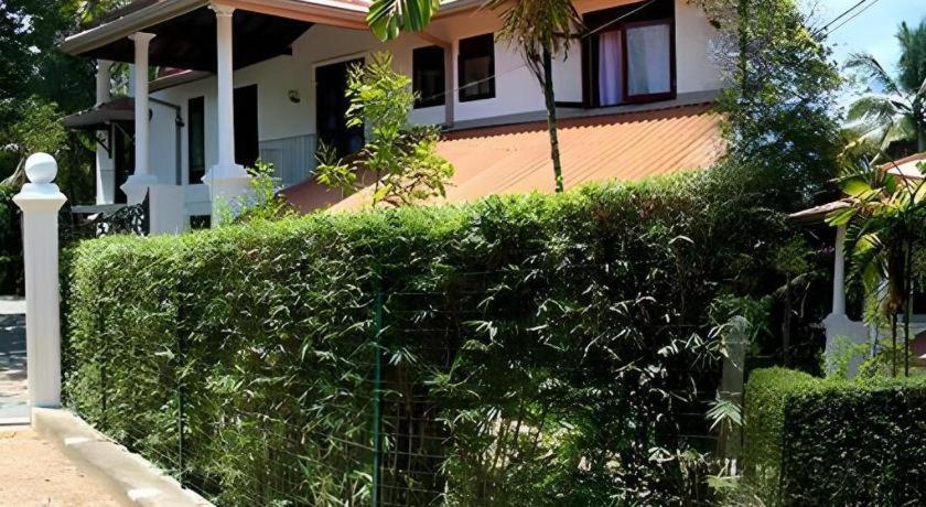 The Mgs Hotel Elpitiya  Exteriér fotografie